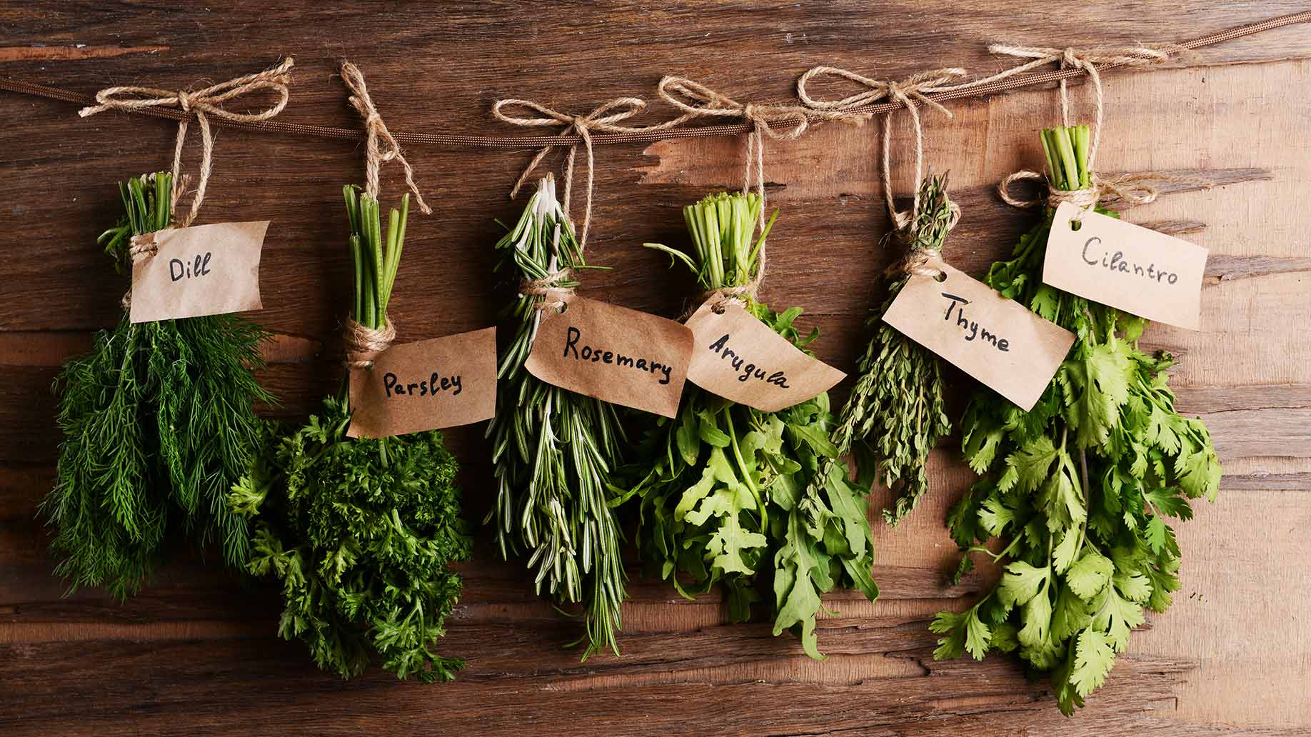 Herbal farm